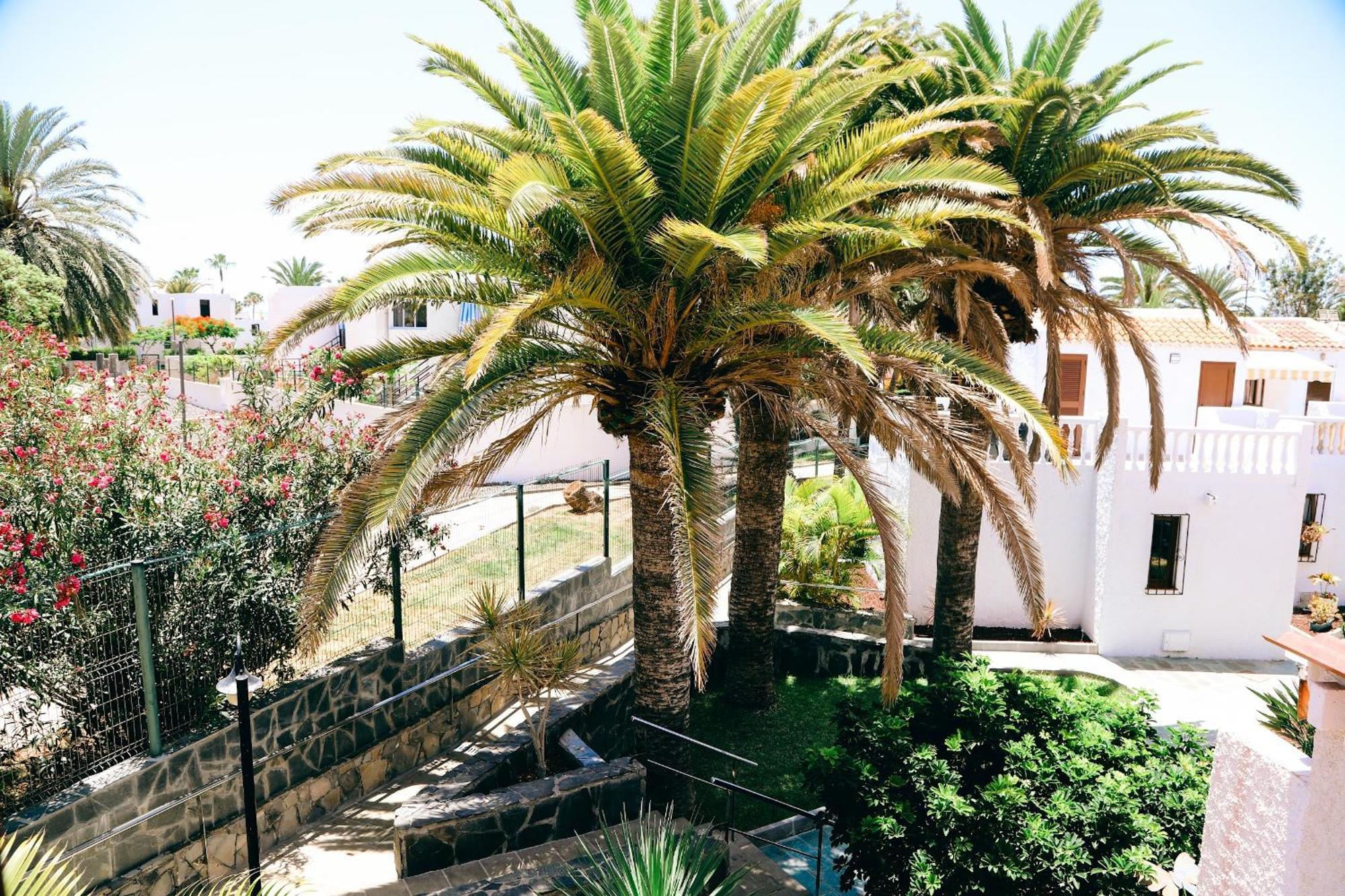 Apartamento Virginia Playa de las Américas Exterior foto